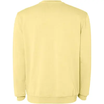 Felpa MAGLIONE JAYA girocollo 250 g/m² promozionale - Immagine 5