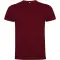 T-shirt uomo DOGO PREMIUM 165 g/m² promozionale - Anteprima 24