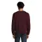 Maglione SPIDER 50% cotone 50% poliestere - SOL'S - Anteprima 24