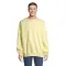 Felpa COLUMBIA in cotone con poliestere riciclato 280g - SOL'S - Anteprima 29