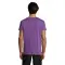 T-shirt unisex REGENT 150G/M² con stampa del tuo logo - SOL'S - Anteprima 79