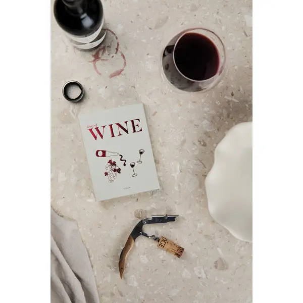 VINGA Story of wine - Immagine 7